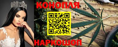 наркотики Будённовск