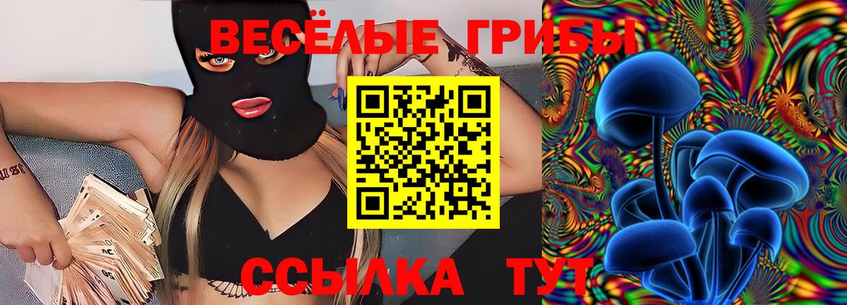 Ногинск  Галлюциногенные грибы Psilocybe  Галлюциногенные грибы ЛСД  Вход с VPN 