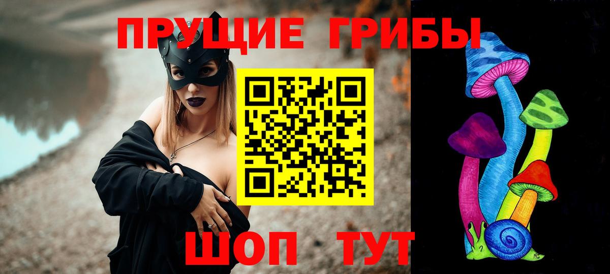 Псилоцибиновые грибы мицелий Ногинск
